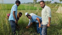 নওগাঁর রাণীনগরে বজ্রপাত থেকে মুক্তি পেতে...